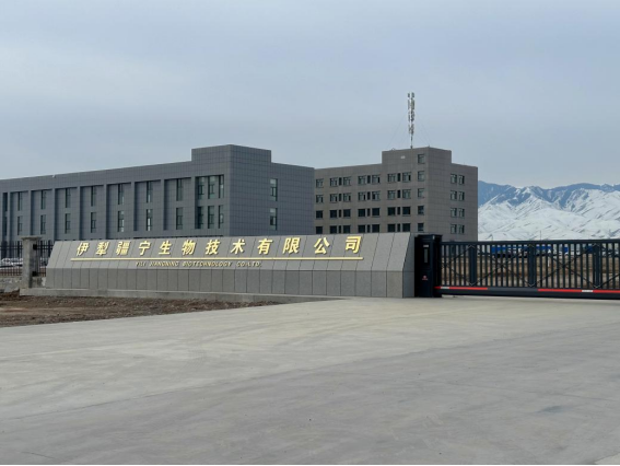 J9集团|国际站官网